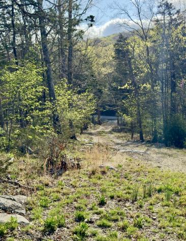 0 Buncombe Road Belvidere TN 37306