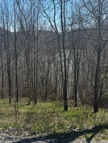 73 Waterwalk Court Smithville TN 37166