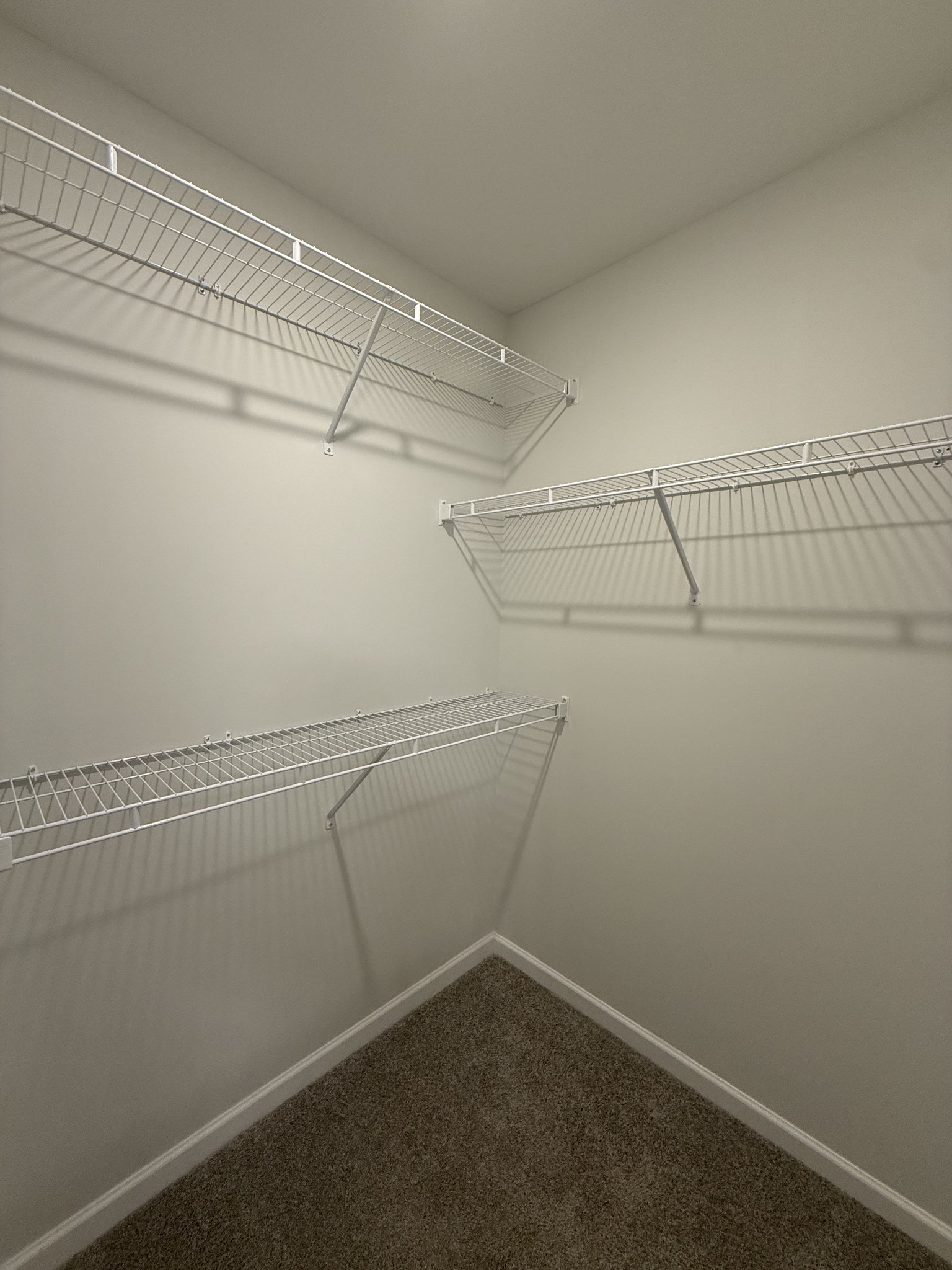 316 Selesia Lane Pleasant View TN 37146