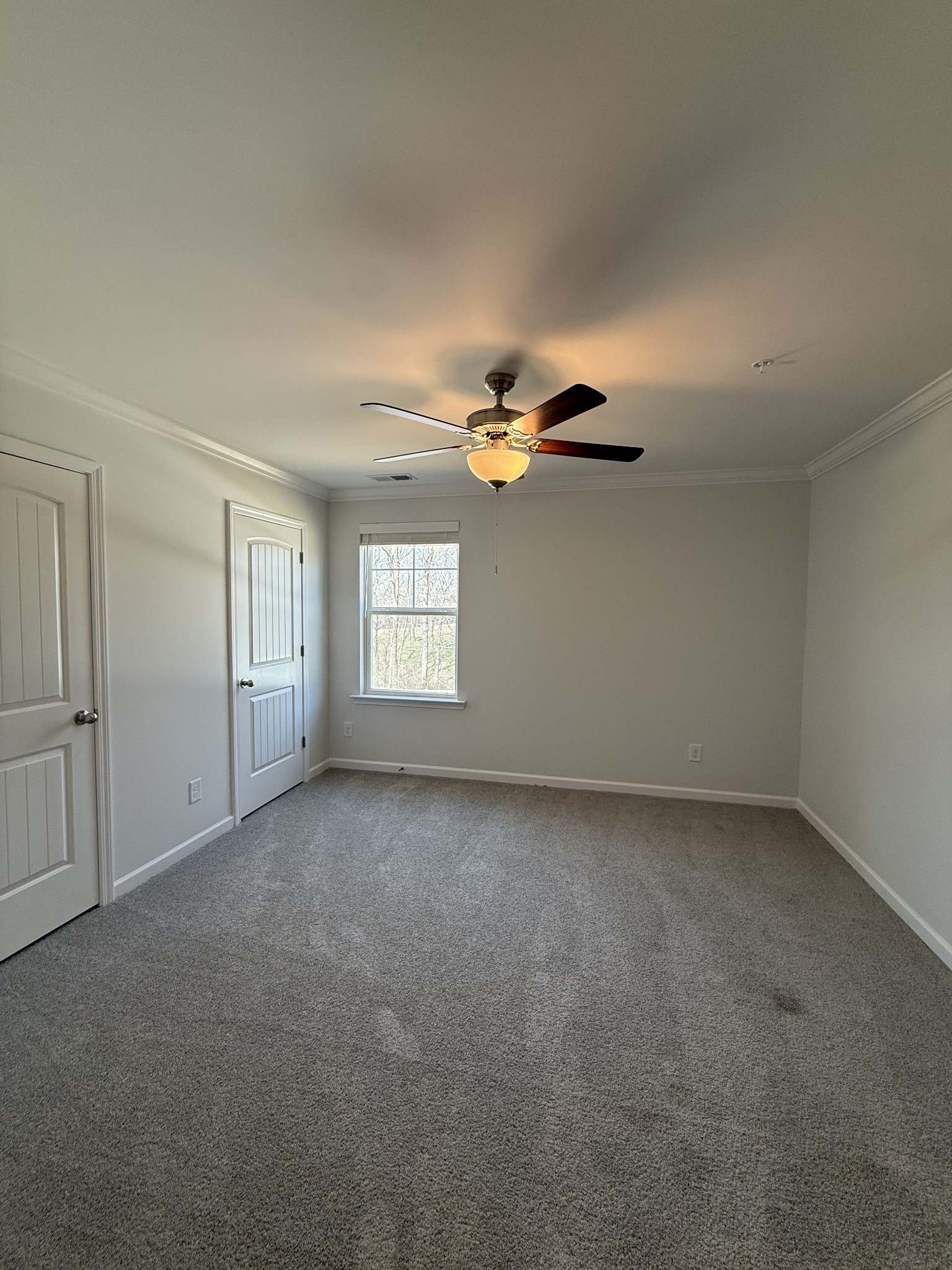 316 Selesia Lane Pleasant View TN 37146