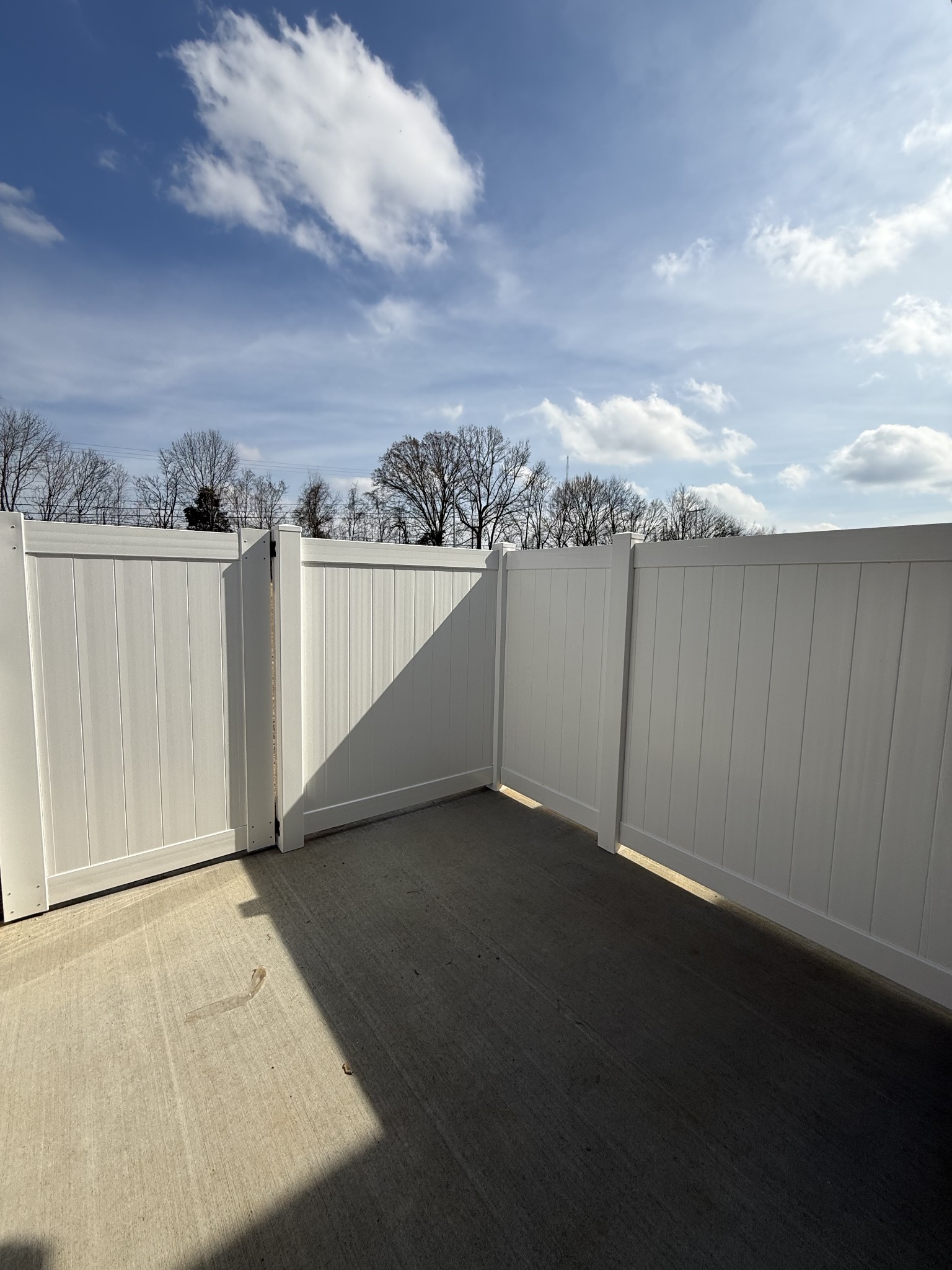 316 Selesia Lane Pleasant View TN 37146