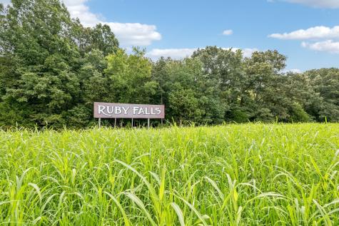 0 Walter Barnes Lane Manchester TN 37355