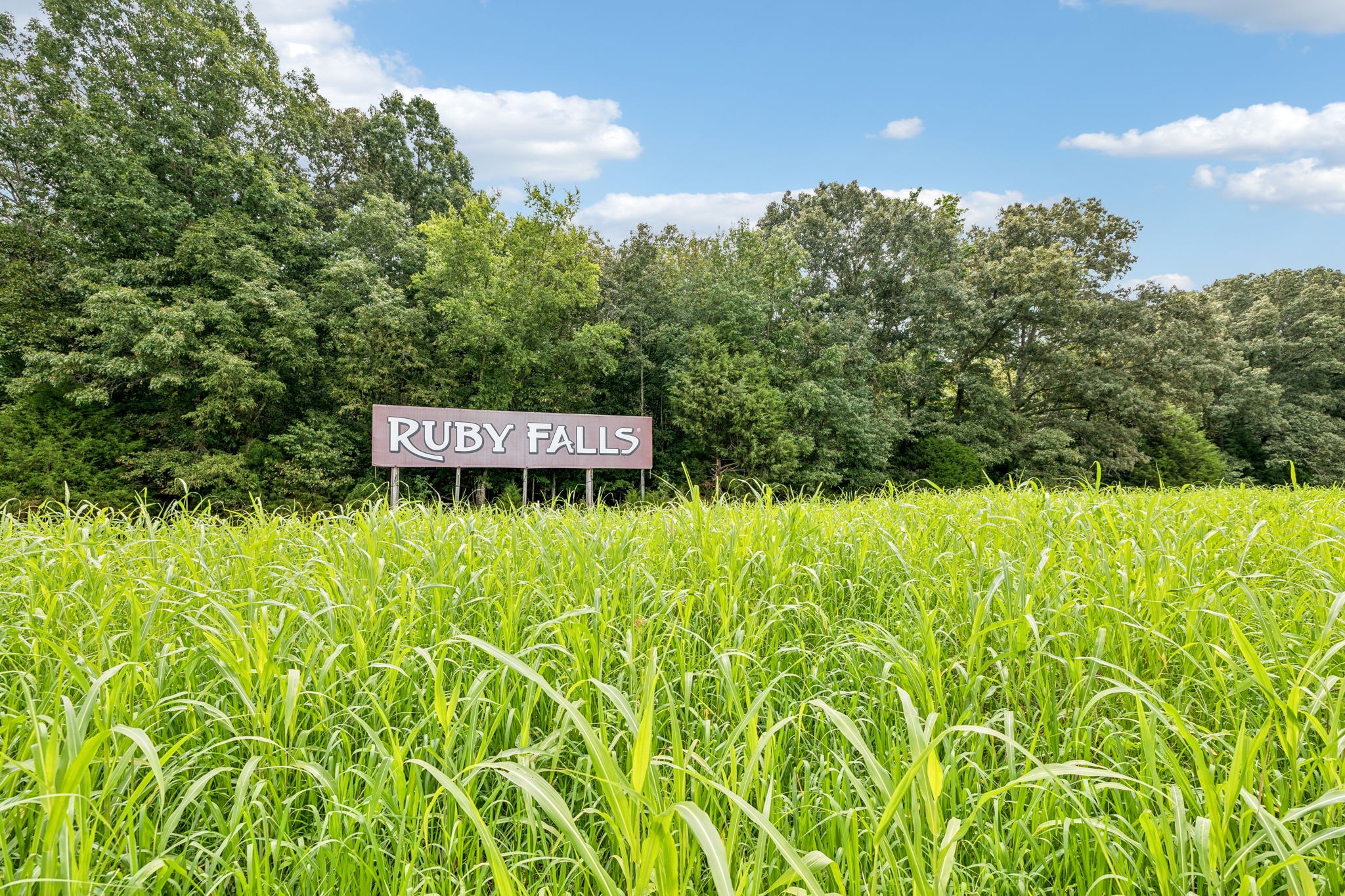 0 Walter Barnes Lane Manchester TN 37355