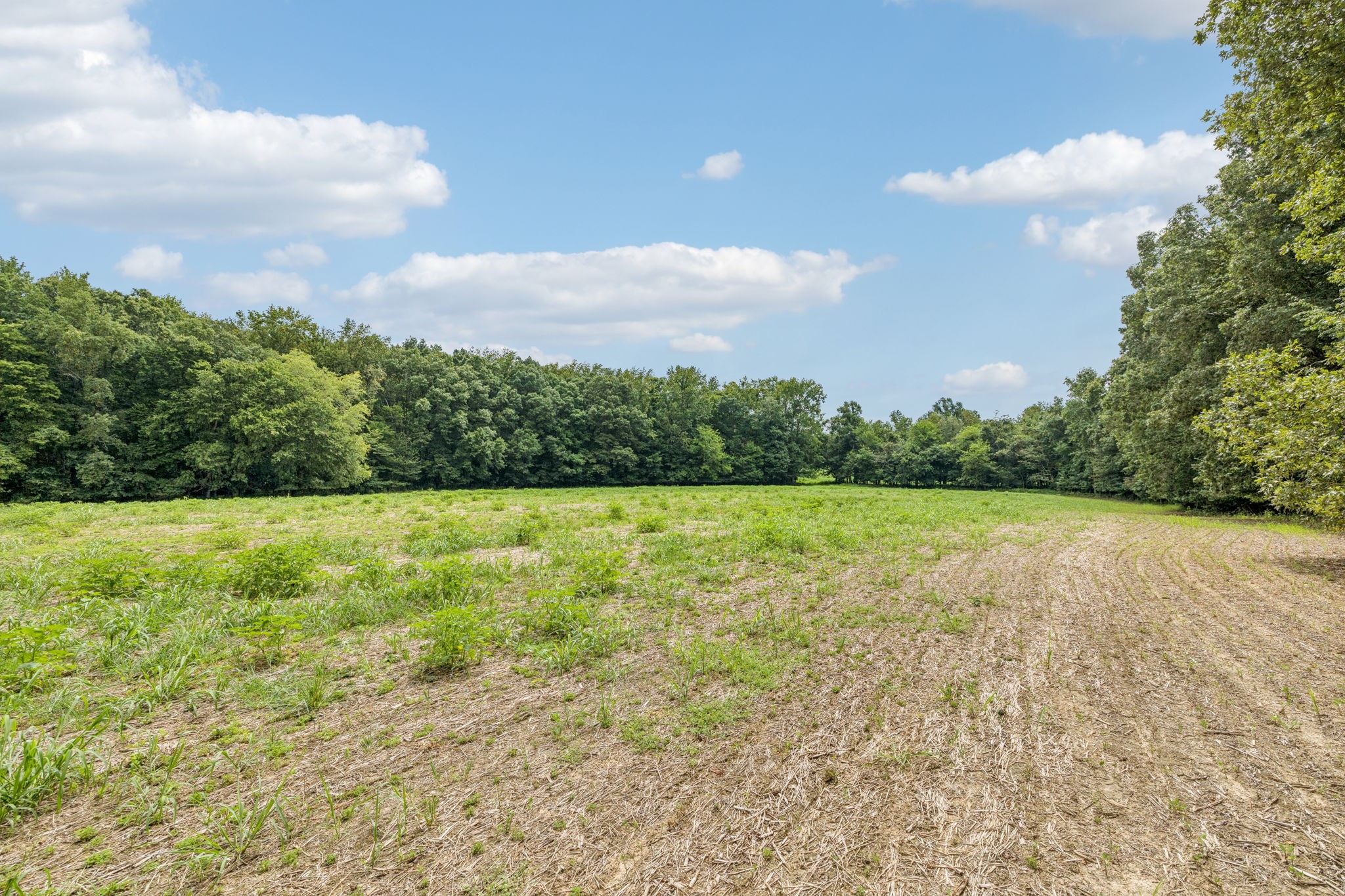 0 Walter Barnes Lane Manchester TN 37355