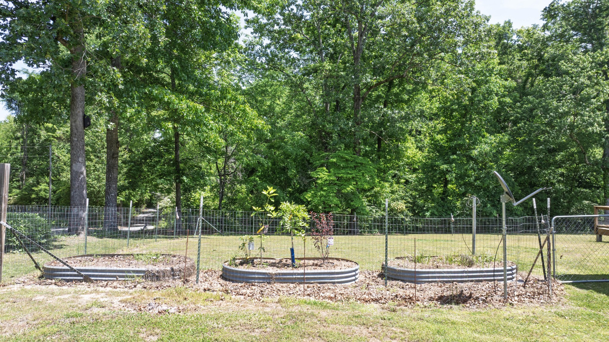 407 Sable Road Spring City TN 37381