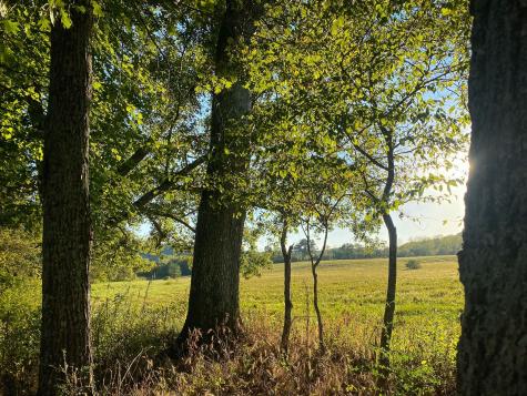 0 Narrows Of The Harpeth Road Kingston Springs TN 37082