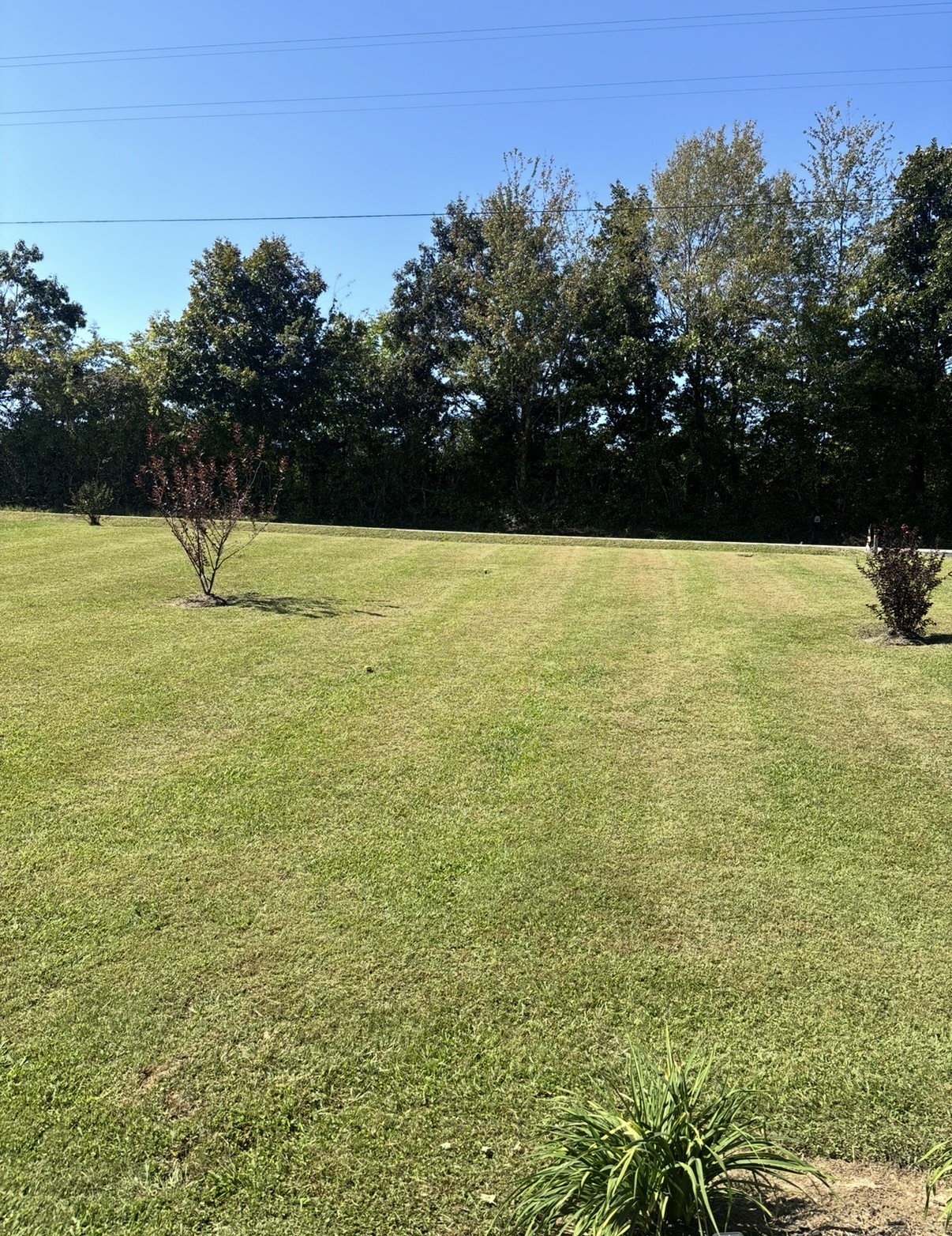 2948 Riley Creek Road Normandy TN 37360