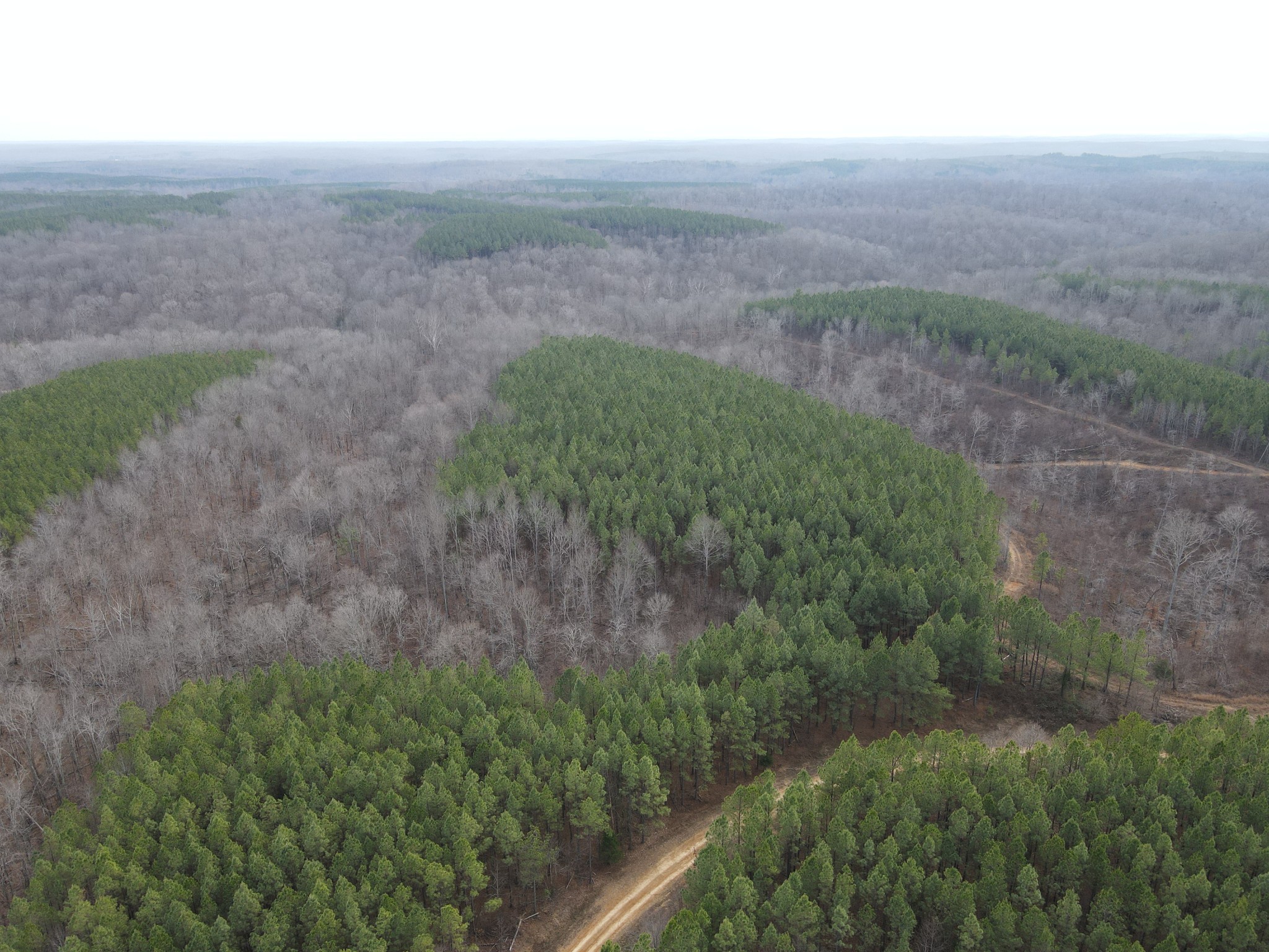 0 North Fork Stewart TN 37175