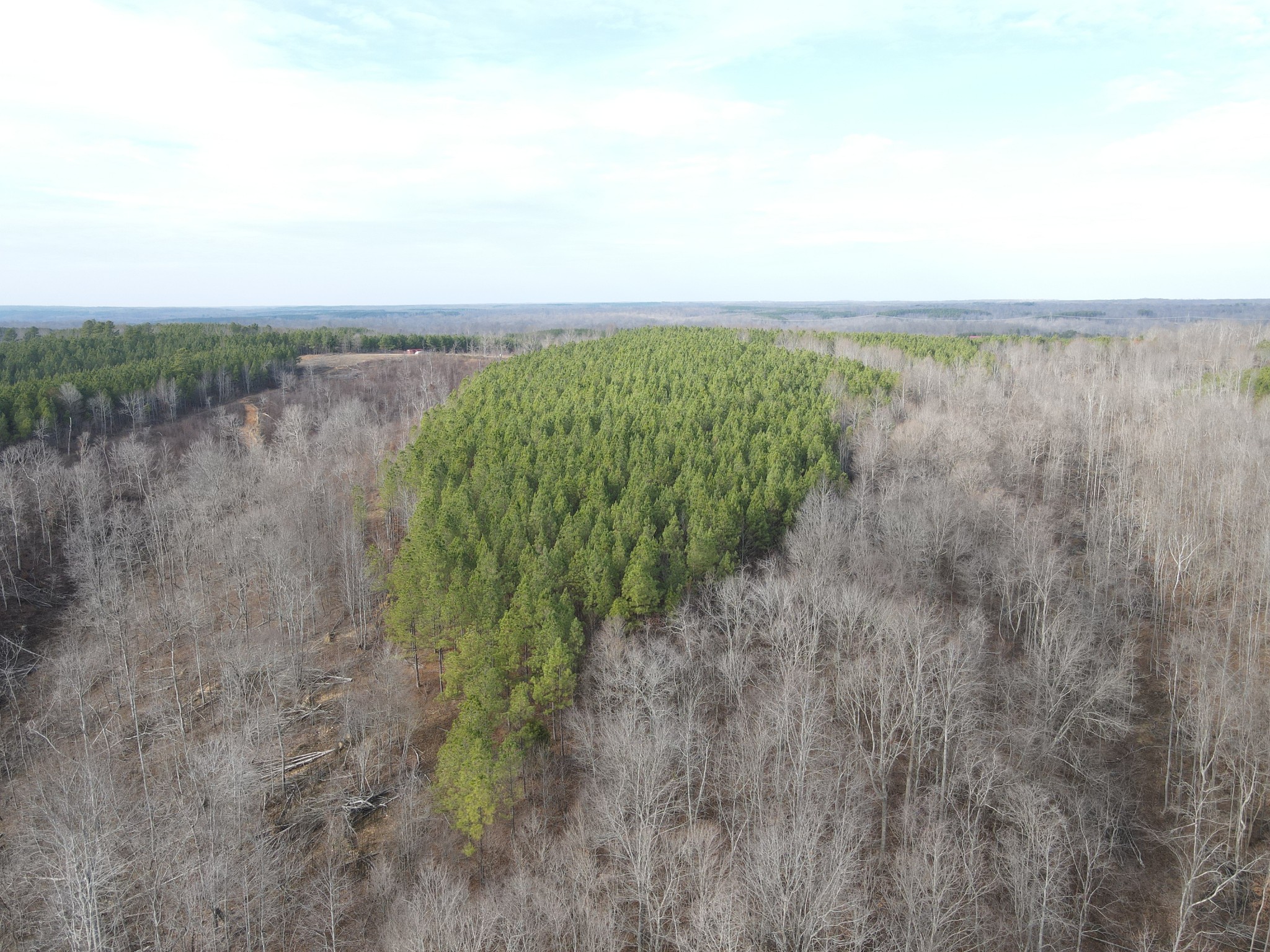0 North Fork Stewart TN 37175