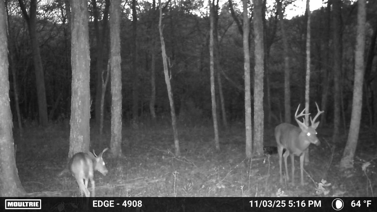 0 Duke Hollow Lane Carthage TN 37030