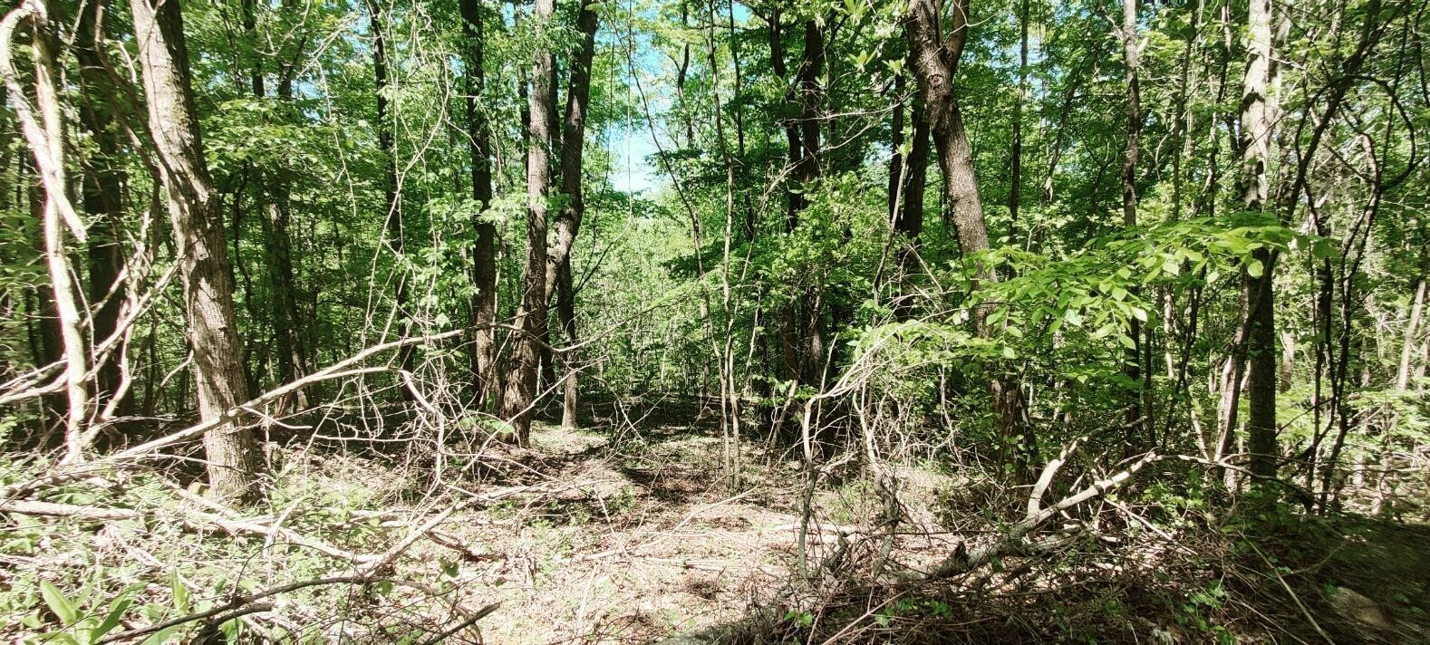 0 Coburntown (Lot 13) Road South Pittsburg TN 37380