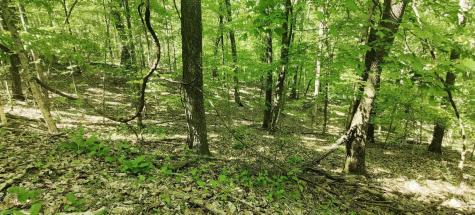 0 Coburntown (Lot 13) Road South Pittsburg TN 37380