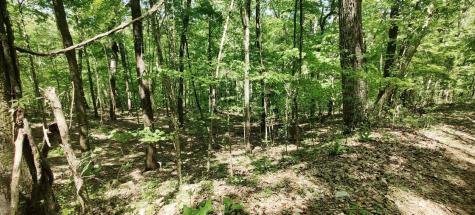 0 Coburntown (Lot 13) Road South Pittsburg TN 37380