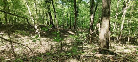 0 Coburntown (Lot 13) Road South Pittsburg TN 37380