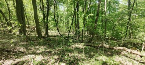 0 Coburntown (Lot 13) Road South Pittsburg TN 37380