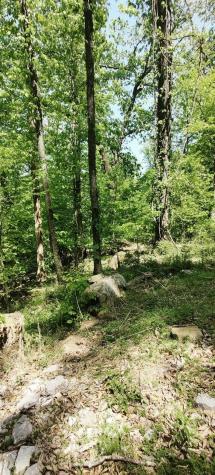0 Coburntown (Lot 13) Road South Pittsburg TN 37380