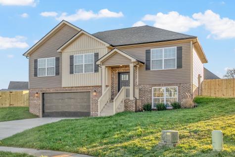 1258 Elizabeth Lane Clarksville TN 37042