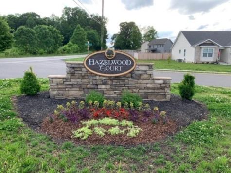 1258 Elizabeth Lane Clarksville TN 37042