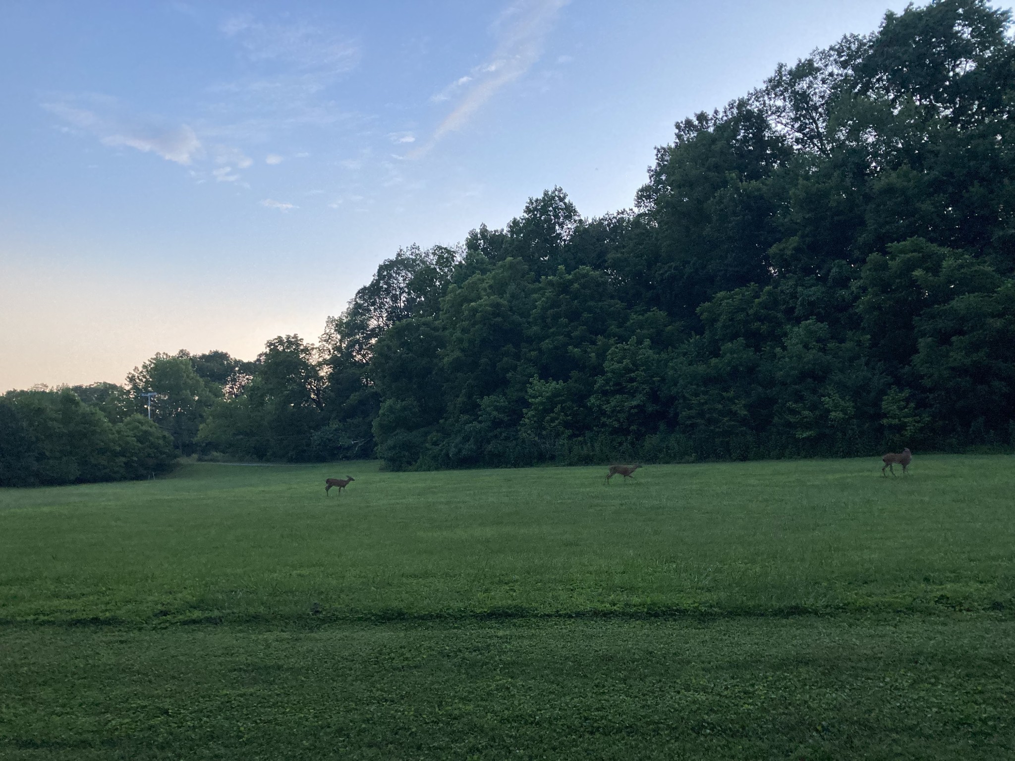 507 Stinson Court White House TN 37188