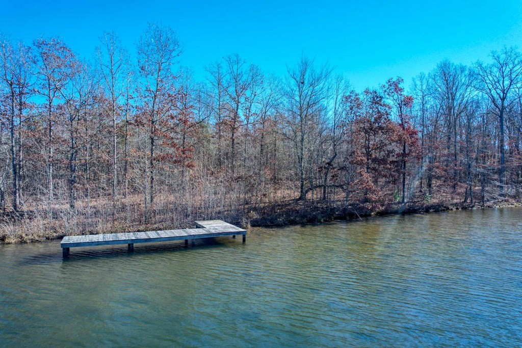 0 Camp Creek Circle Spencer TN 38585