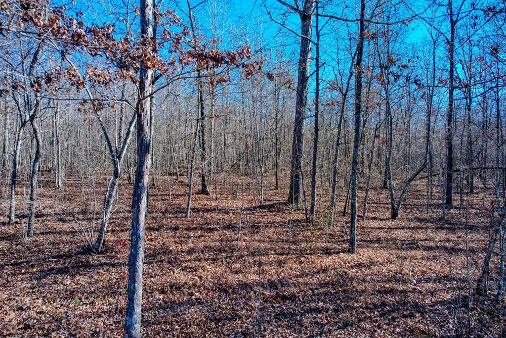 0 Camp Creek Circle Spencer TN 38585