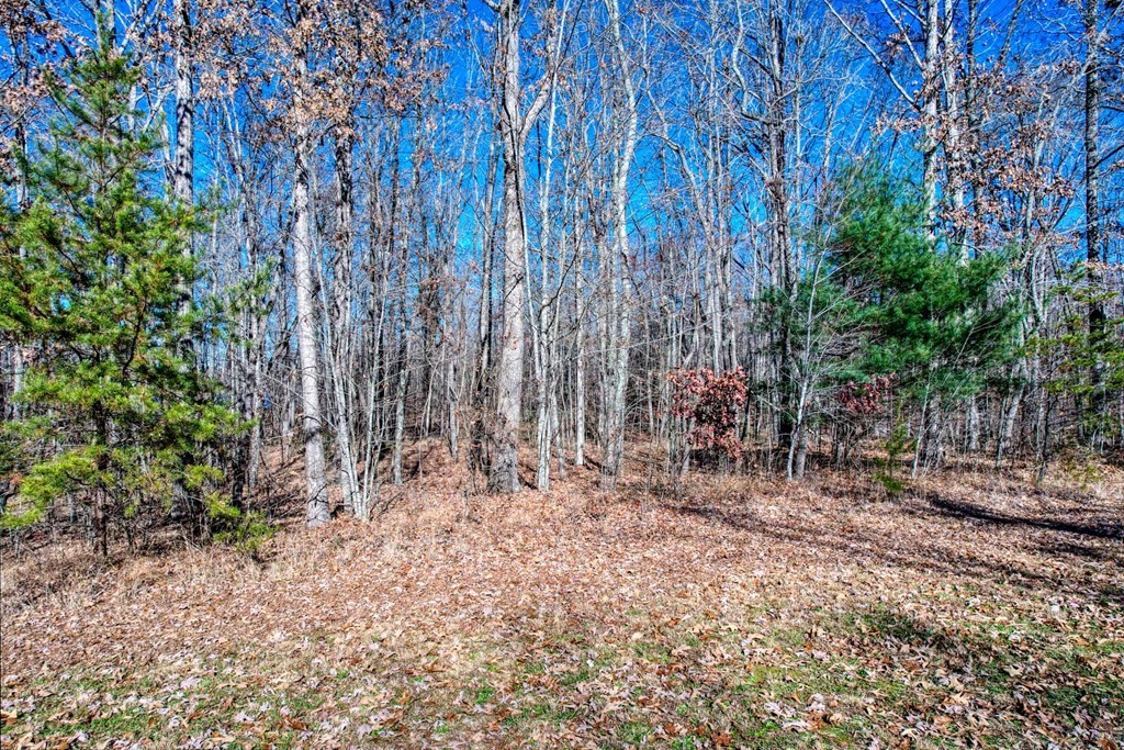 0 Camp Creek Circle Spencer TN 38585