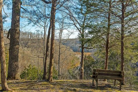 659 Harbour Greens Place Sparta TN 38583