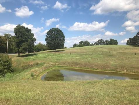 3460 Slayden Marion Road Cumberland Furnace TN 37051