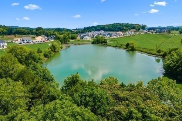 1988 Ellsworth Lane Arrington TN 37014