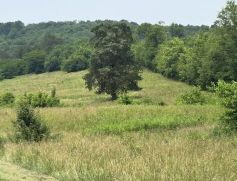 0 Vanatta Road Watertown TN 37184