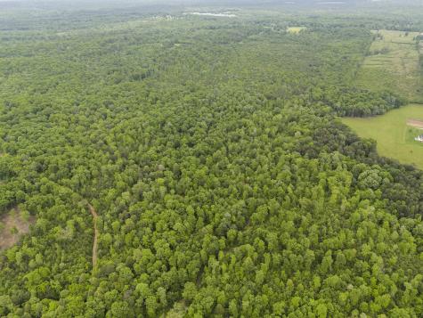 2361 Colony Road Gruetli Laager TN 37339