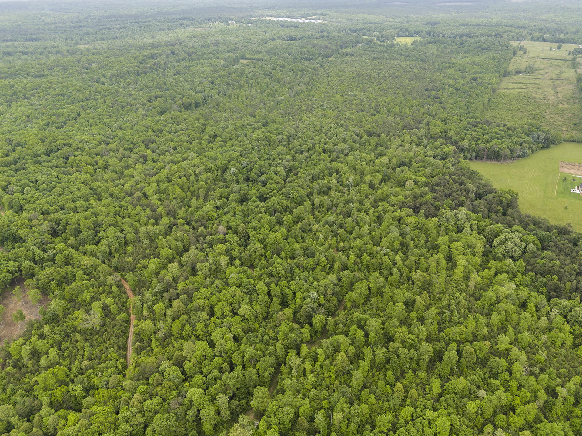 2361 Colony Road Gruetli Laager TN 37339