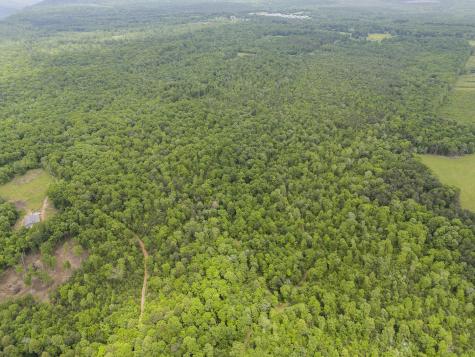 2361 Colony Road Gruetli Laager TN 37339