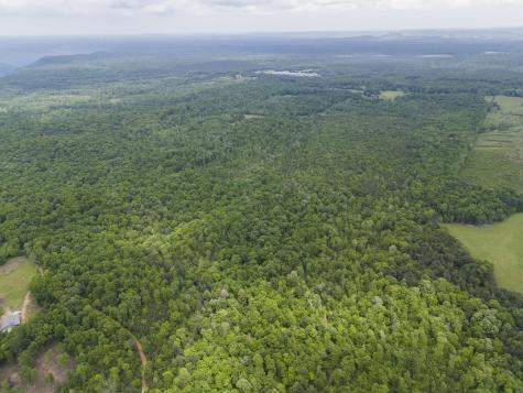 2361 Colony Road Gruetli Laager TN 37339