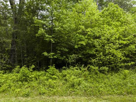 2361 Colony Road Gruetli Laager TN 37339