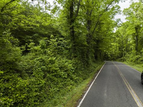 2361 Colony Road Gruetli Laager TN 37339