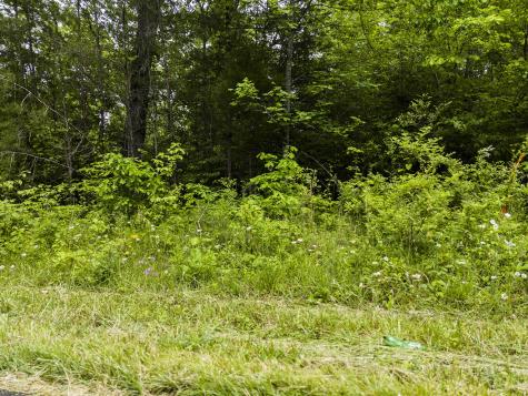 2361 Colony Road Gruetli Laager TN 37339