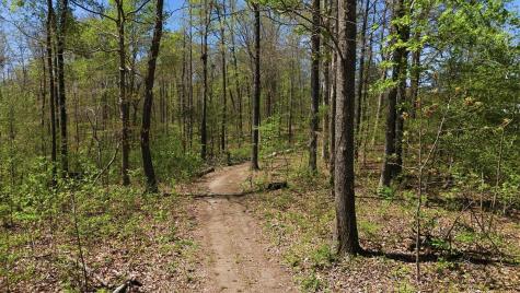 1043 Murphy Hollow Road Vanleer TN 37181