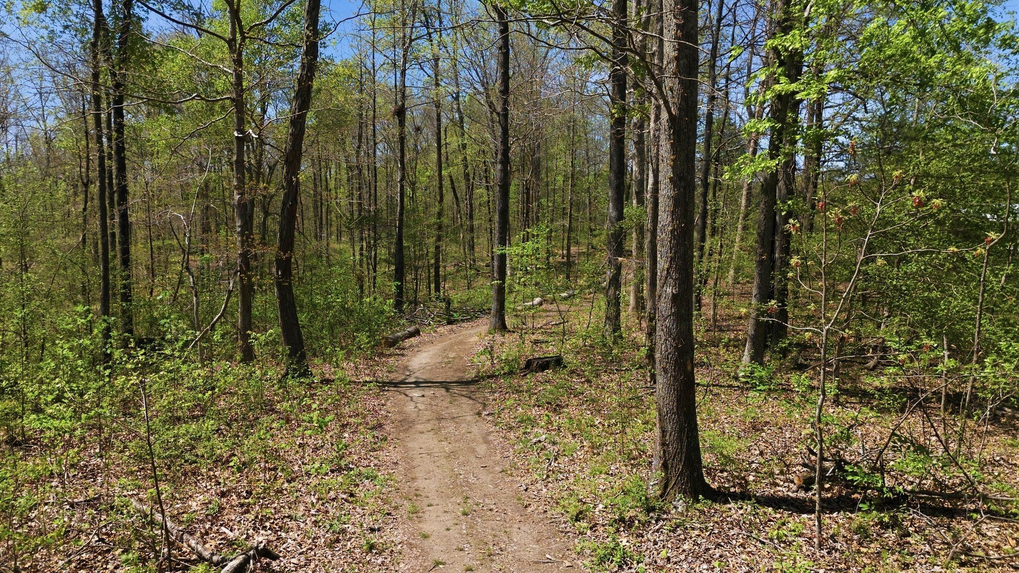 1043 Murphy Hollow Road Vanleer TN 37181