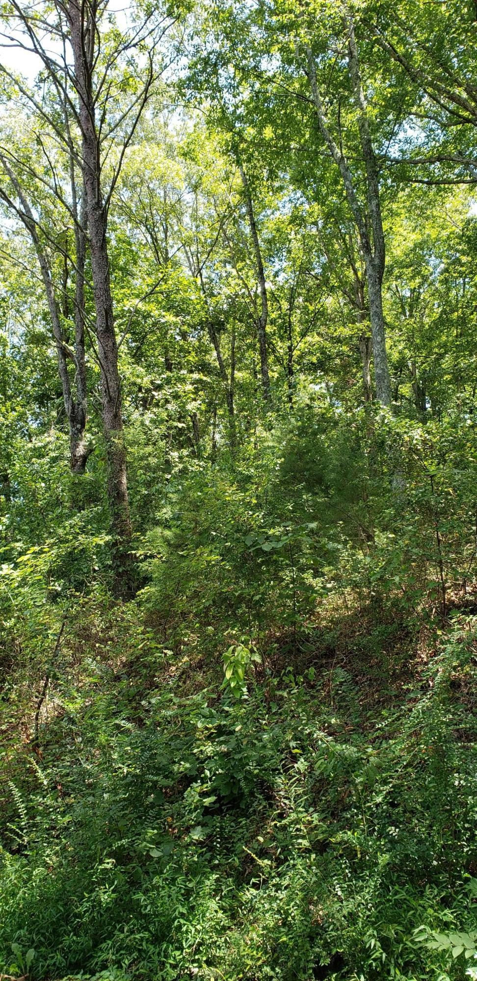 0 Treeline Drive Dunlap TN 37327