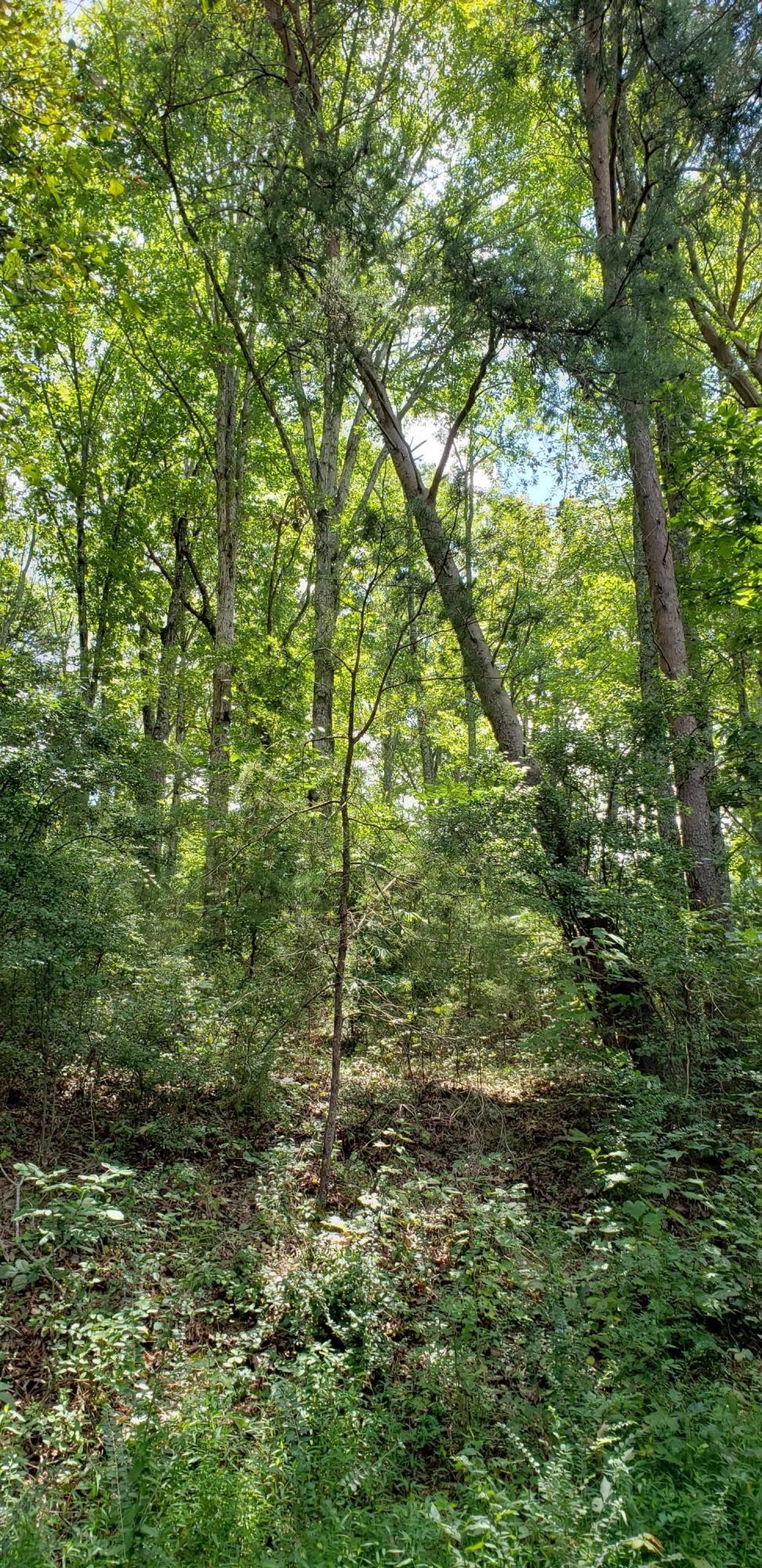 0 Treeline Drive Dunlap TN 37327