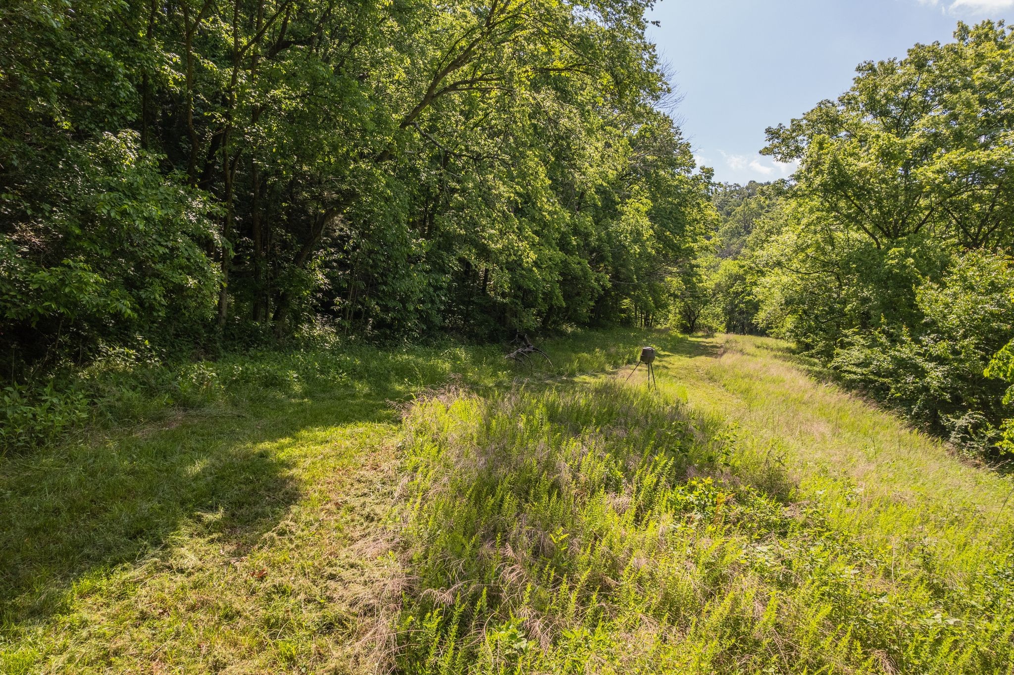 0 Haze Hyde Hollow Road Bethpage TN 37022