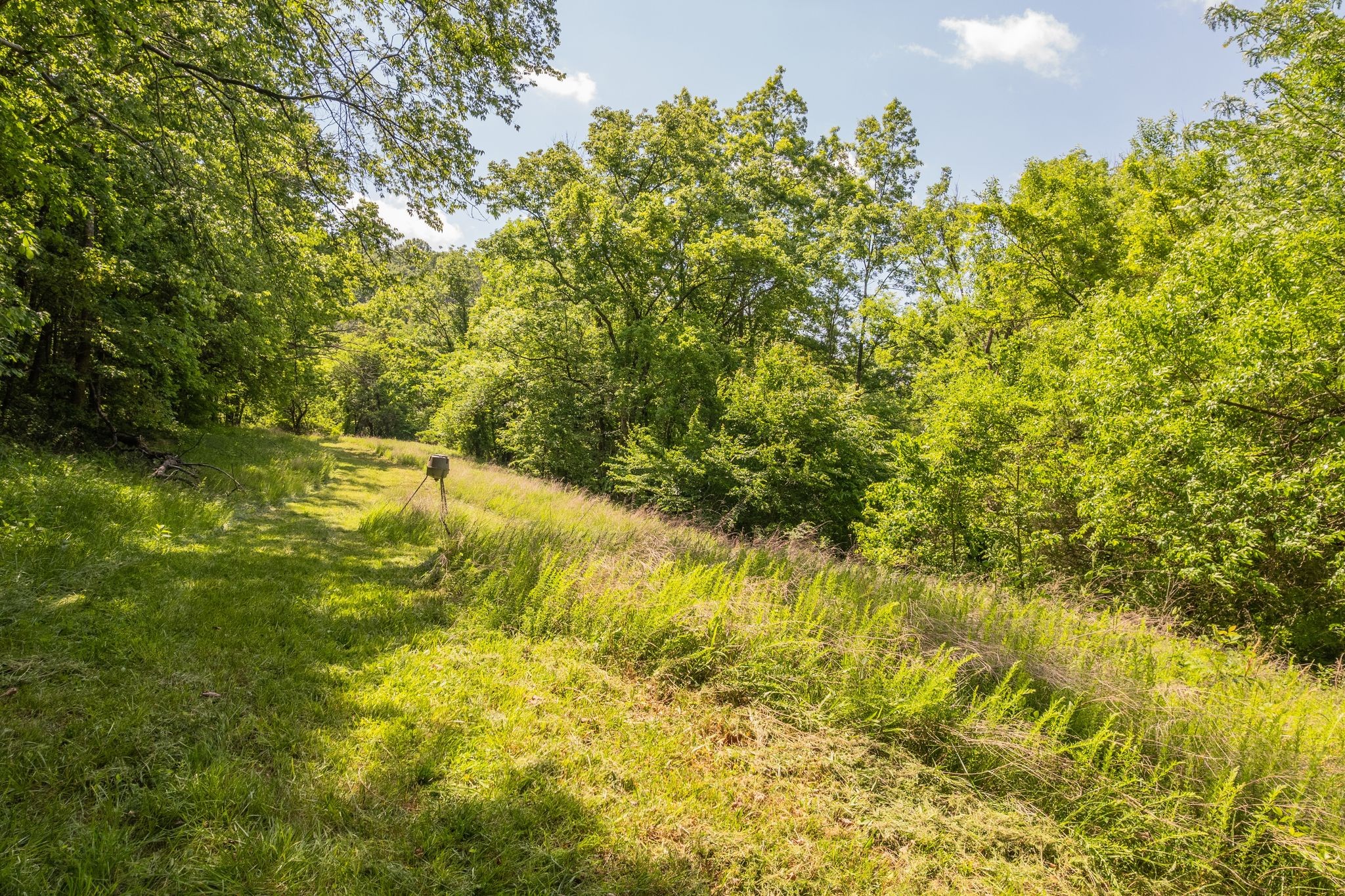 0 Haze Hyde Hollow Road Bethpage TN 37022