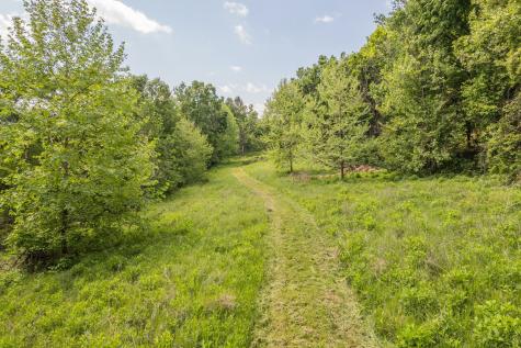 0 Haze Hyde Hollow Road Bethpage TN 37022