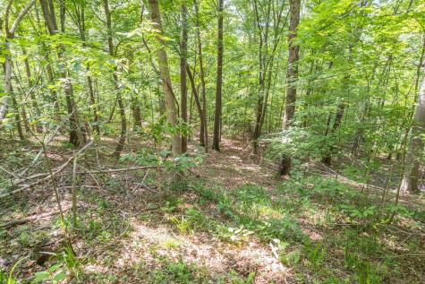 0 Haze Hyde Hollow Road Bethpage TN 37022