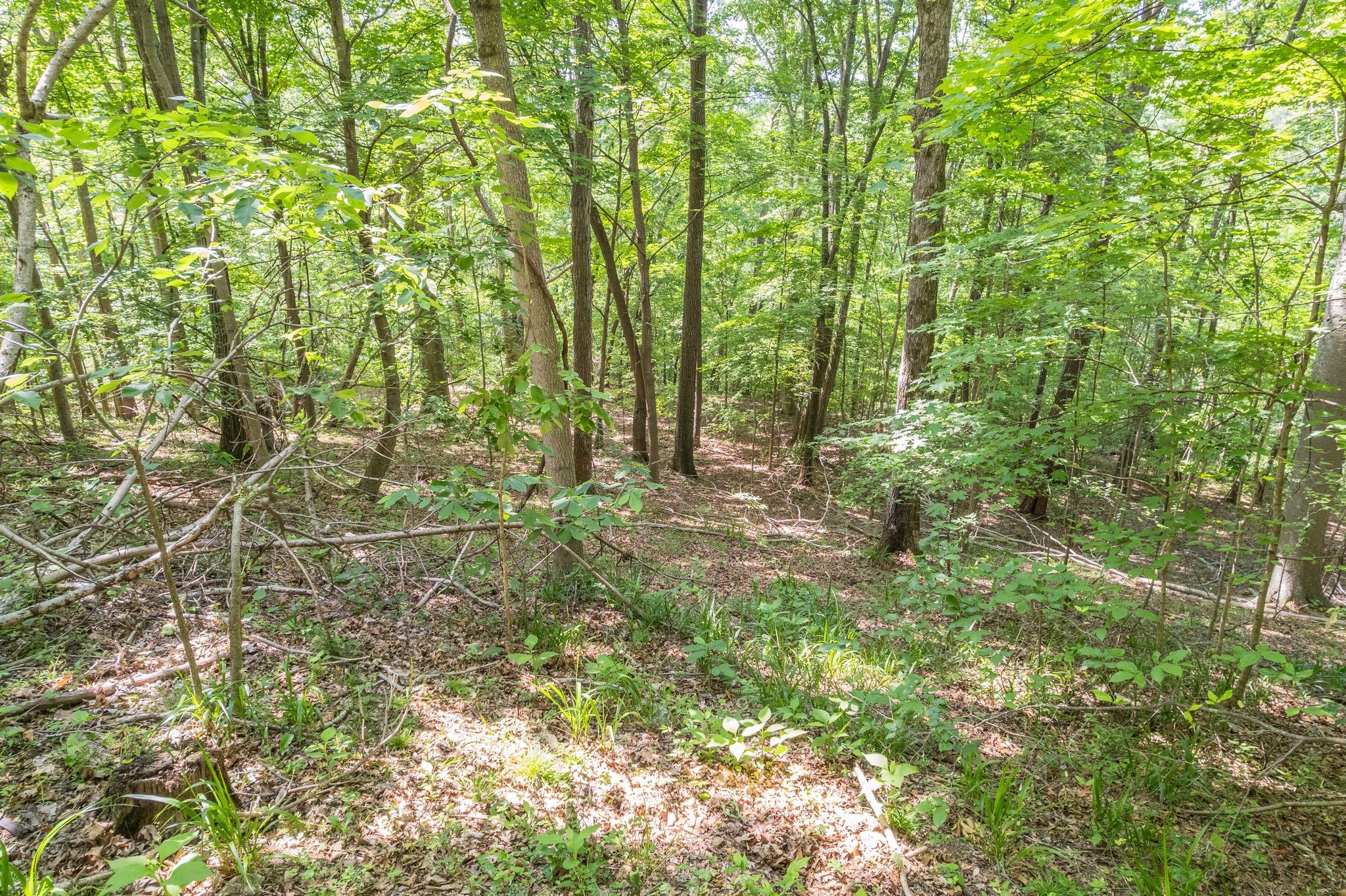 0 Haze Hyde Hollow Road Bethpage TN 37022