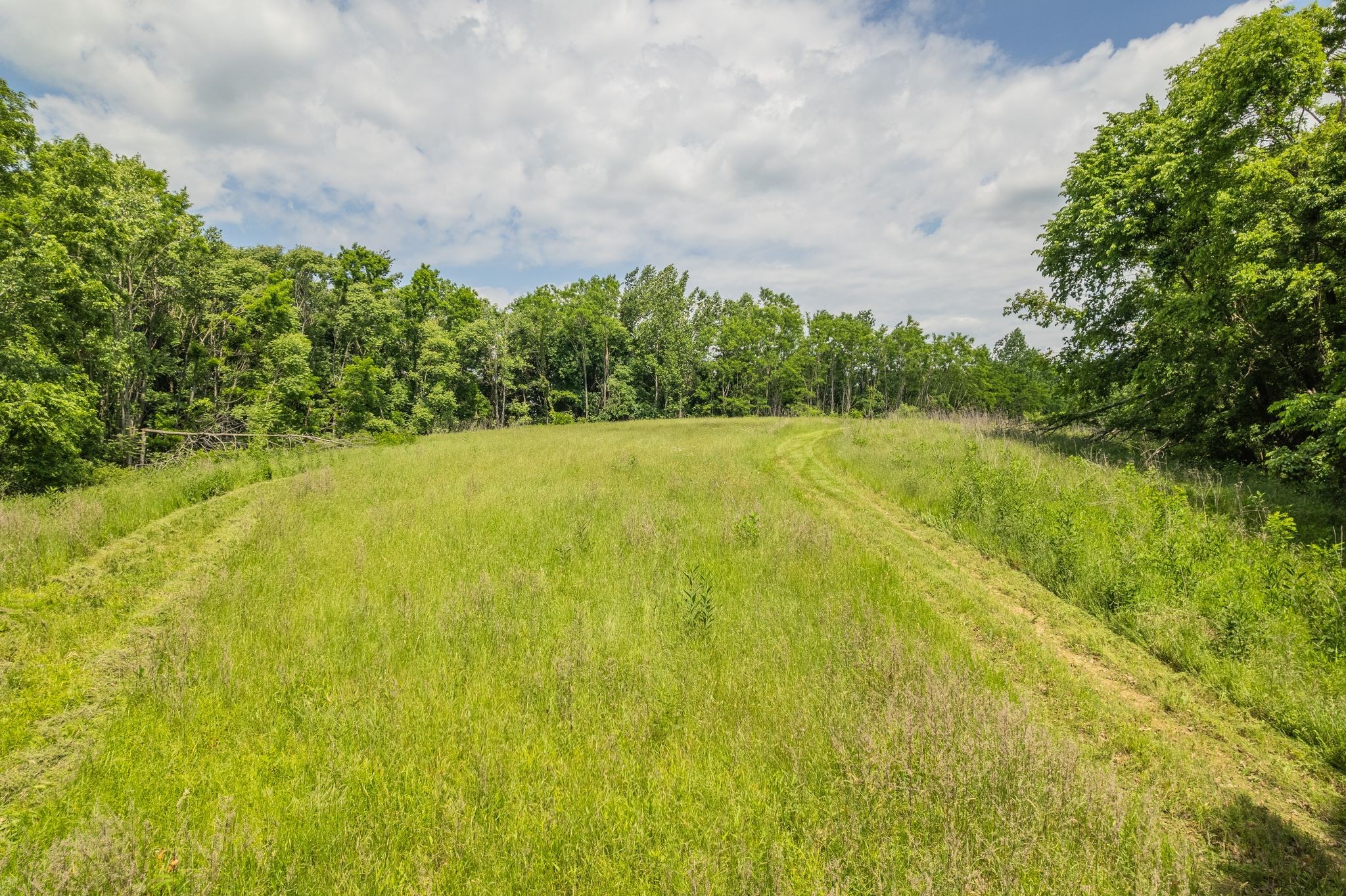 0 Haze Hyde Hollow Road Bethpage TN 37022