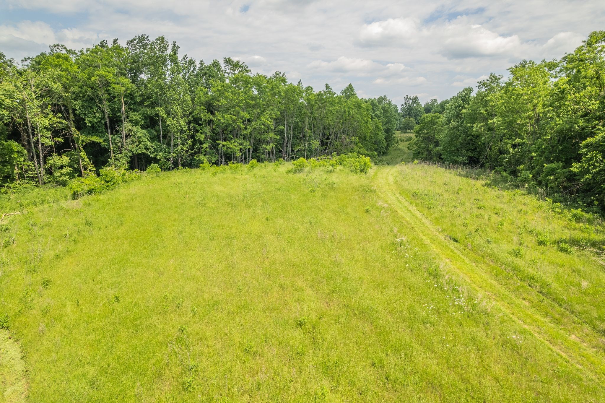 0 Haze Hyde Hollow Road Bethpage TN 37022