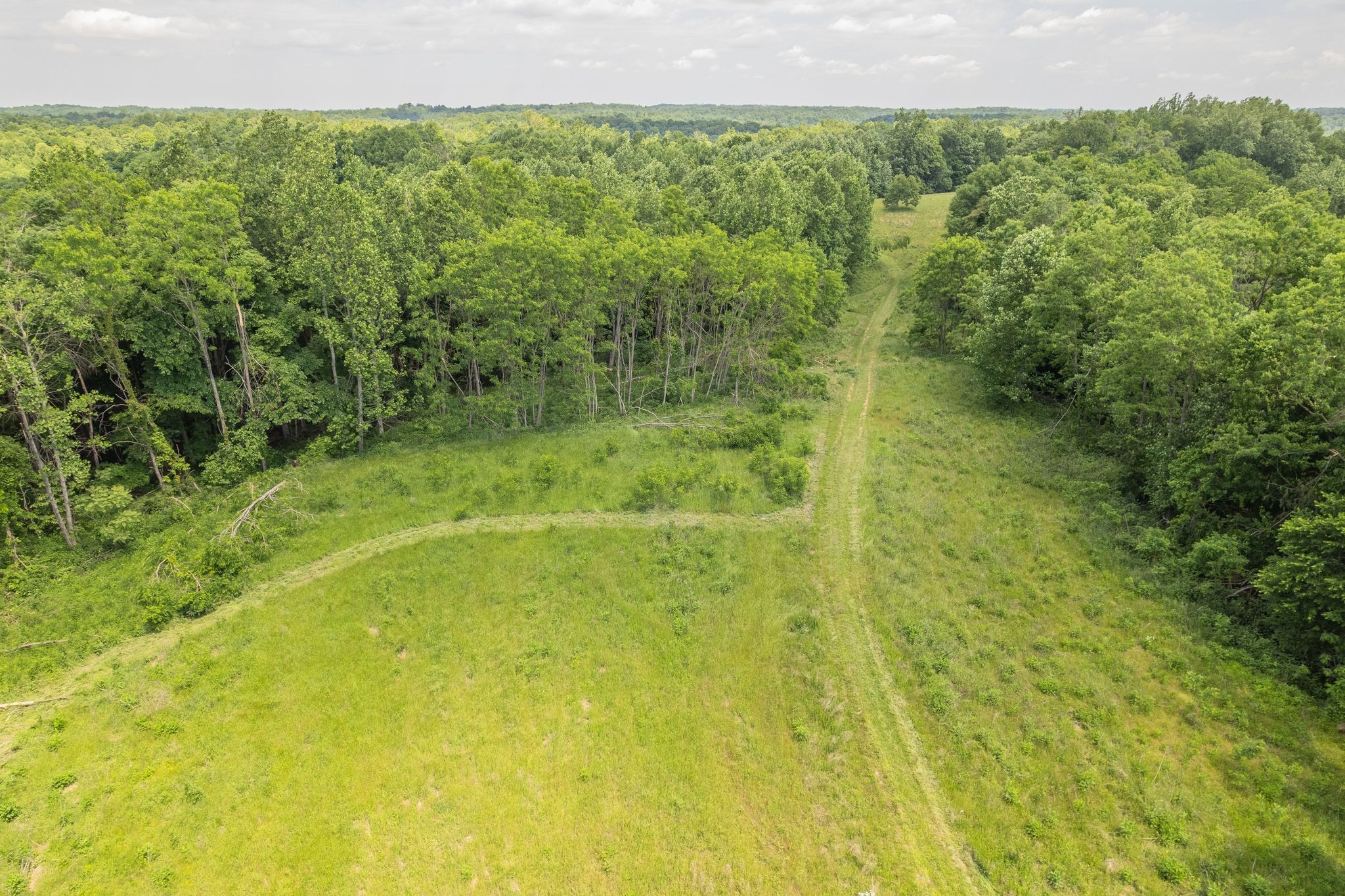 0 Haze Hyde Hollow Road Bethpage TN 37022