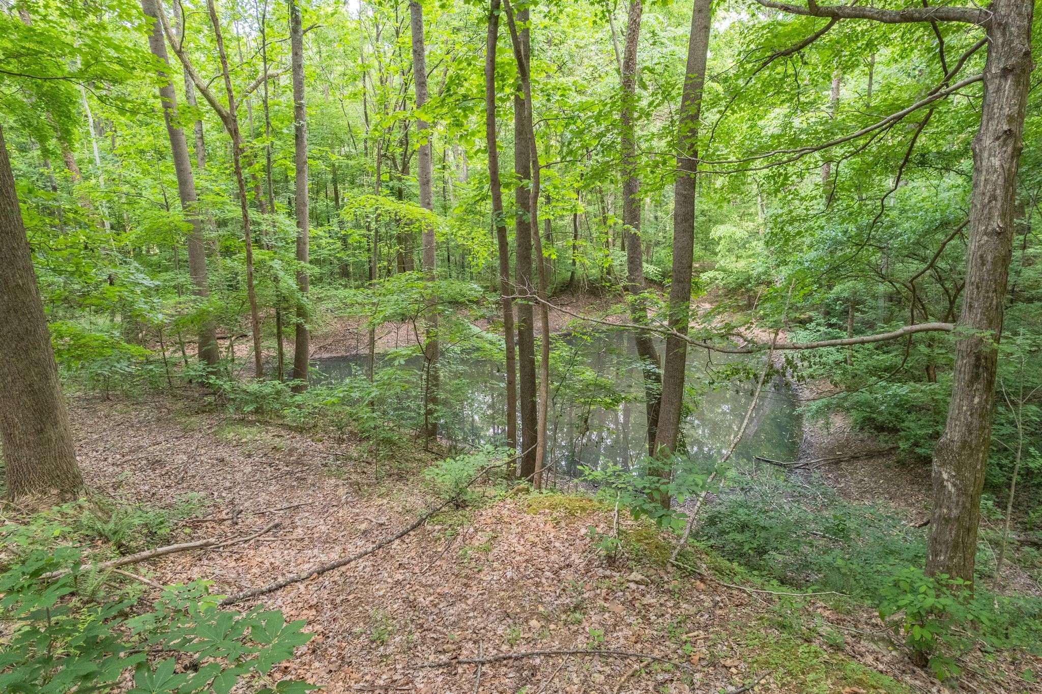 0 Haze Hyde Hollow Road Bethpage TN 37022